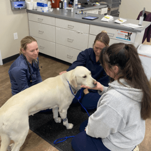 Staff with patient